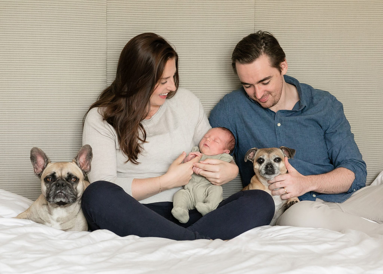 Pets in family photos - cats, dogs and even horses!